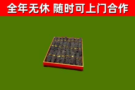 泰顺县回收海参